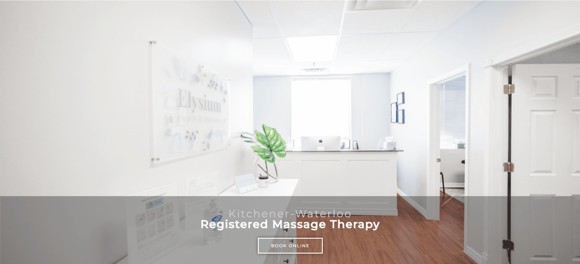 Elysium Health & Wellness project preview - Brand - Web